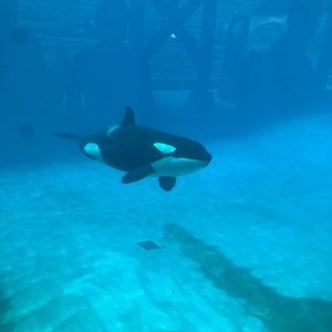 Meet your Posher, Horacio